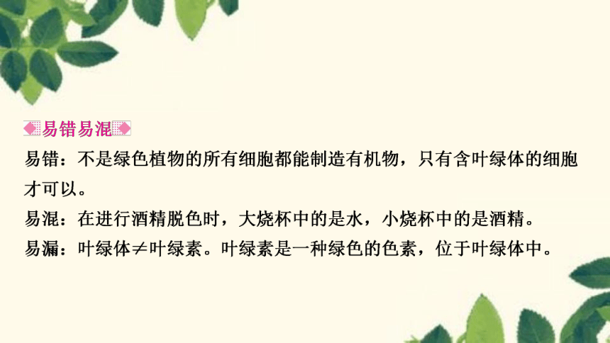 人教版生物七年级上册 第四章　绿色植物是生物圈中有机物的制造者 课件（共21张PPT）