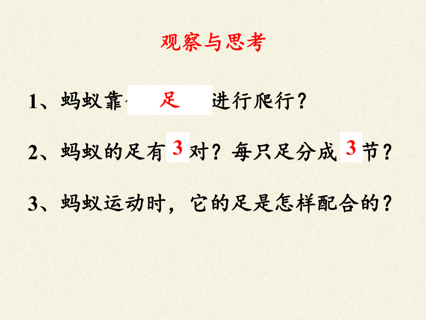 苏教版八年级生物上册 17.2  动物运动依赖于一定的结构 课件（共18张PPT）