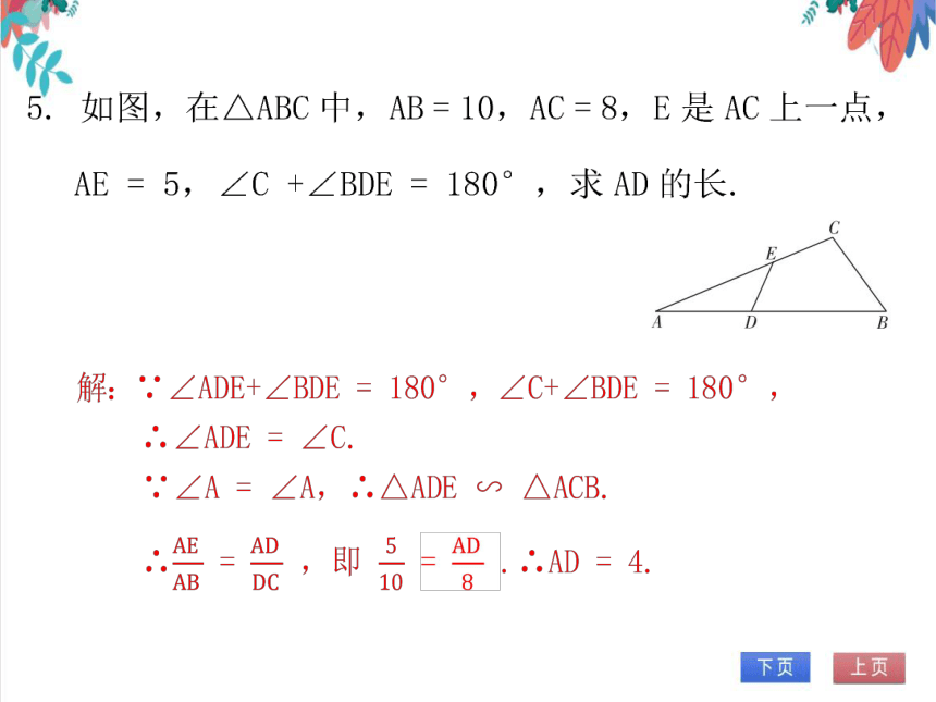 【北师大版】数学九年级（上）4.4.1 探索三角形相似的条件（1） 习题课件