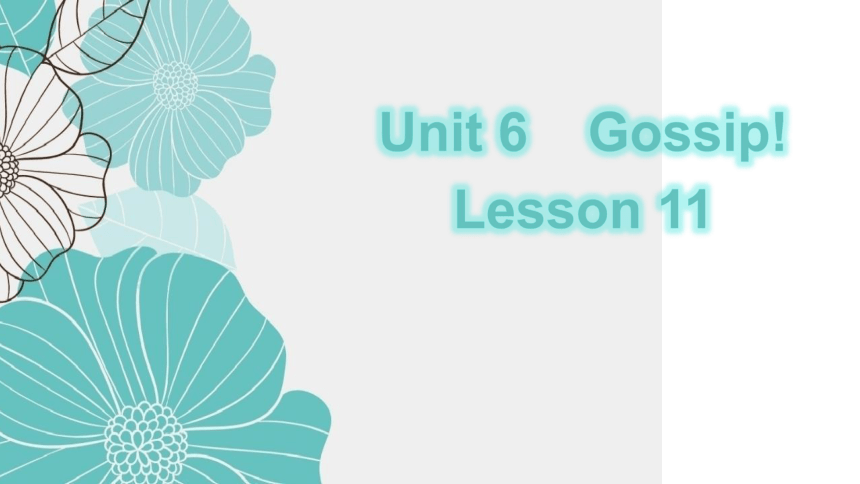 Unit6 Gossip!  Lesson11  课件（17张PPT）