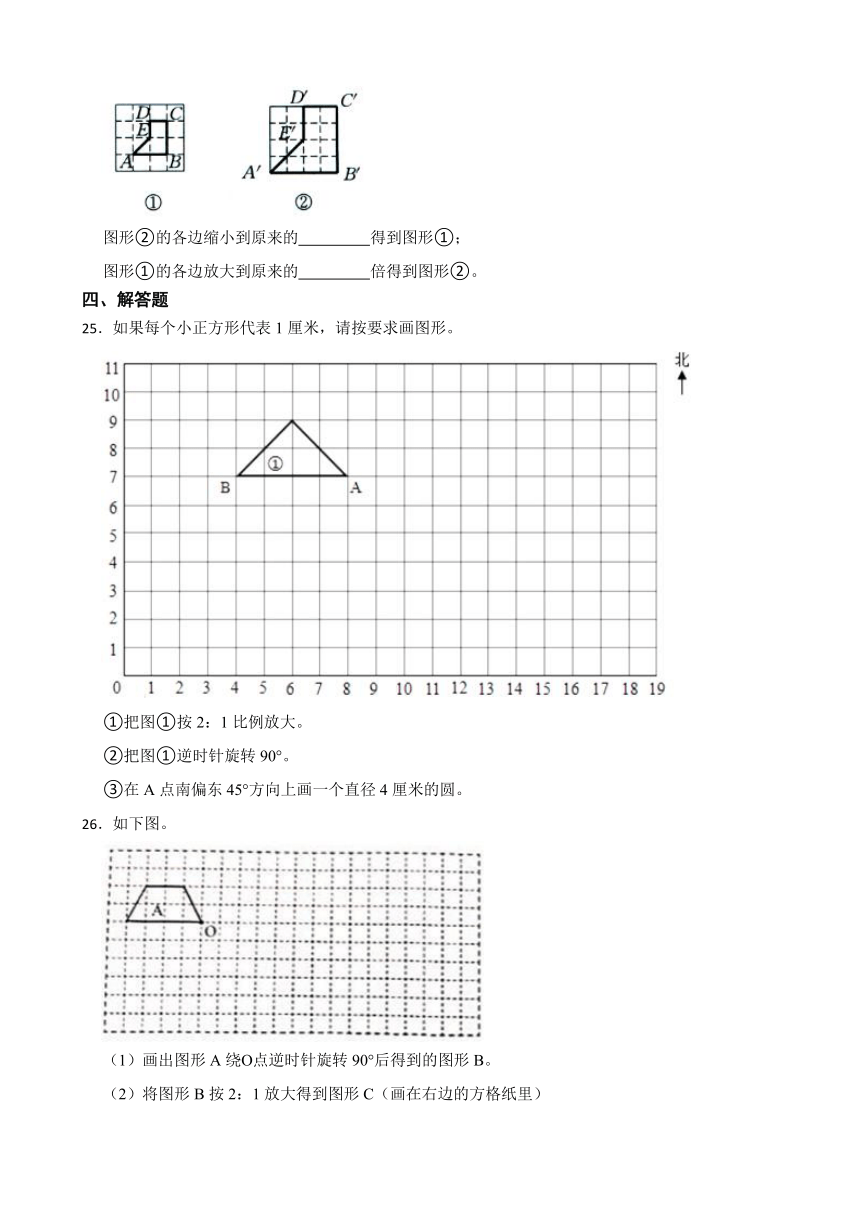 《图形的放大与缩小》（同步练习）六年级下册数学北师大版（有答案）