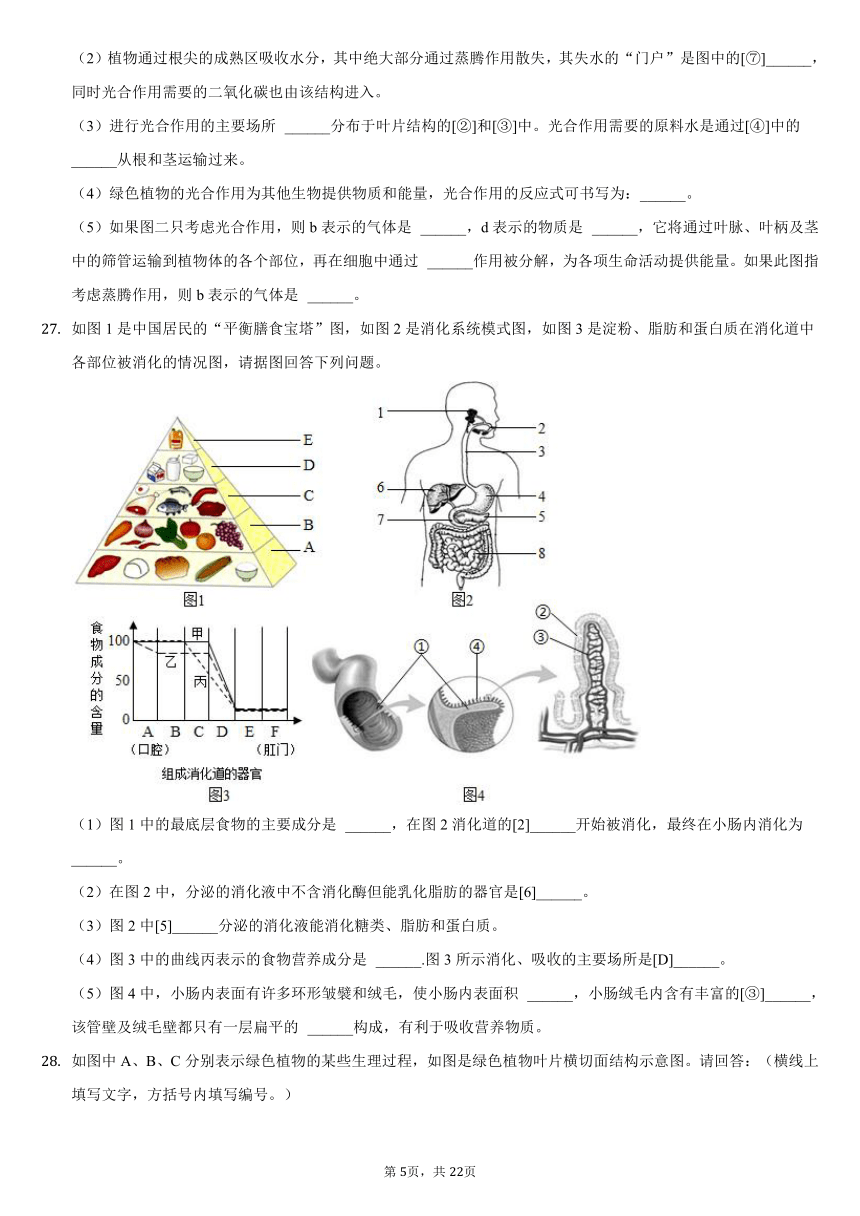 2020-2021学年四川省成都市龙泉驿区柏合中学八年级（下）月考生物试卷（3月份）（word版，含解析）