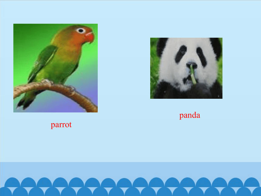 Unit5 It's a parrot.Lesson 27 课件（共10张PPT）