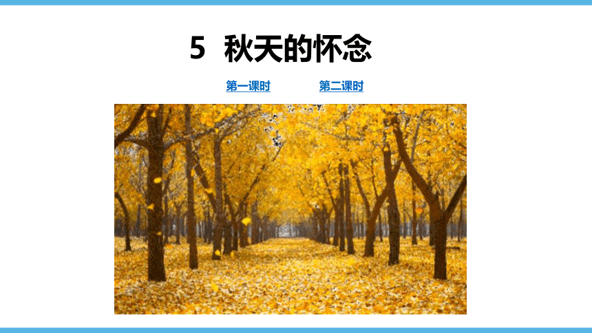 第5课  《秋天的怀念》课件（45张）