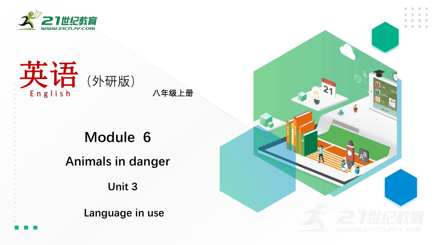 Module 6 Animals in danger. Unit 3 Language in use课件36张PPT