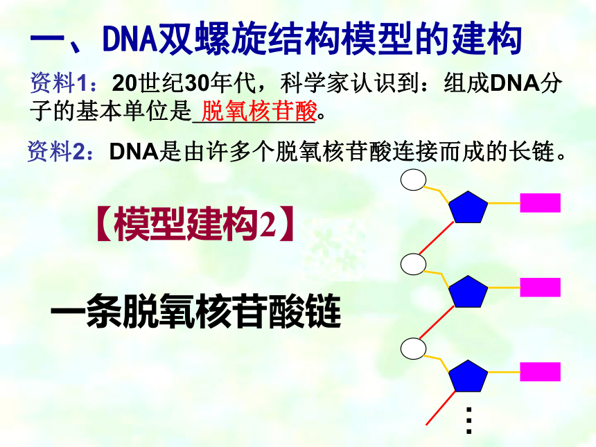 3.2DNA分子的结构课件2021-2022学年高一下学期生物人教版必修2(共19张PPT)