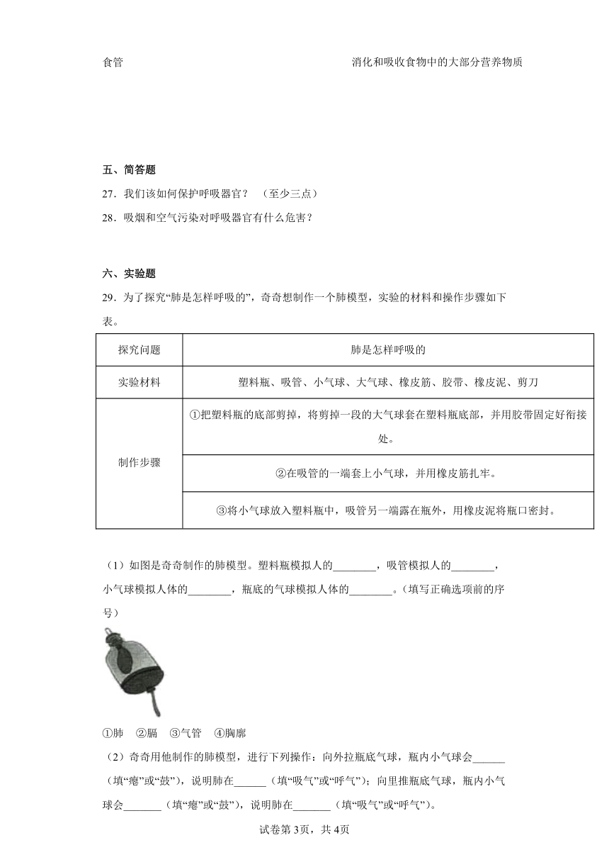 大象版（2017秋）四年级科学上册第四单元过关测试题人体的呼吸器官（一）含答案