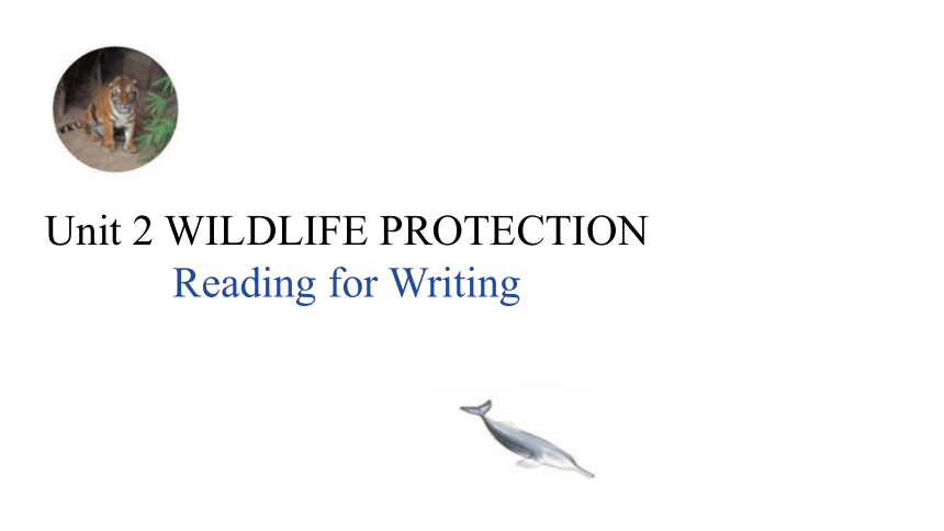 人教版（2019）必修 第二册UNIT 2 Wildlife protectionReading for Writing-教学课件(共42张PPT)
