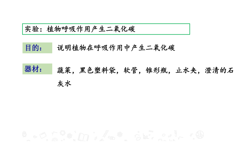 6.4 植物的呼吸作用 教学课件 苏教版七年级生物上册（21张PPT）