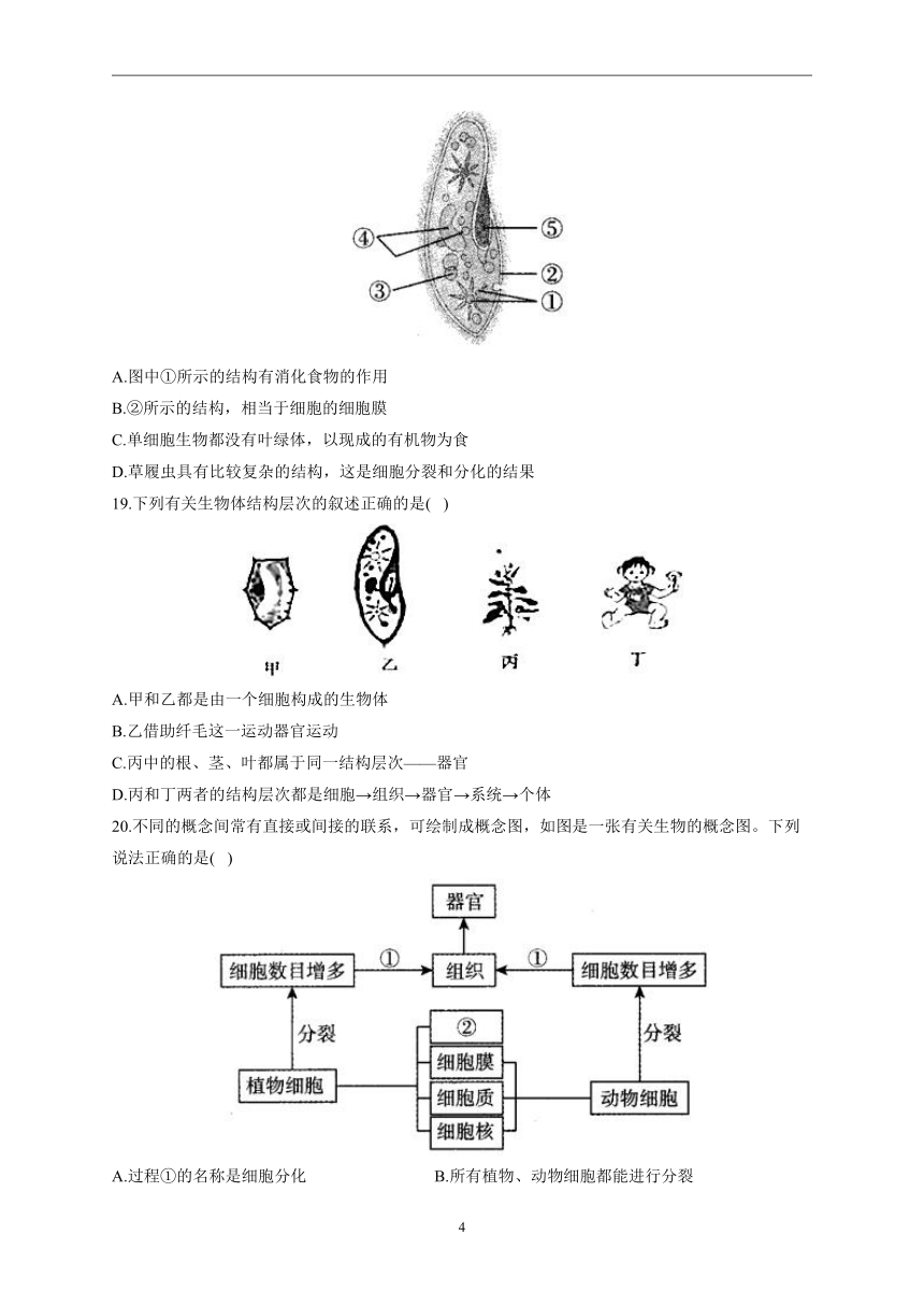 第二单元第二章 细胞怎样构成生物体2022-2023学年人教版生物七年级上册单元同步检测(word版含解析）