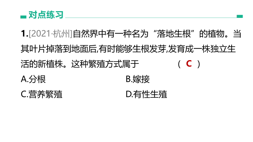 2022年浙江省中考科学一轮复习 第09课时　生物的生殖和发育（课件 37张PPT）