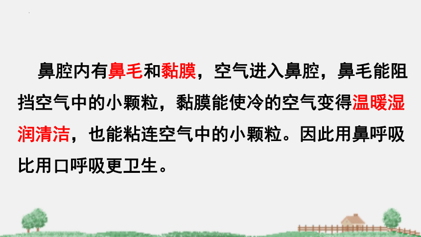 2021-2022学年苏教版生物七年级下册10.3人体和外界环境的气体交换课件(共31张PPT)