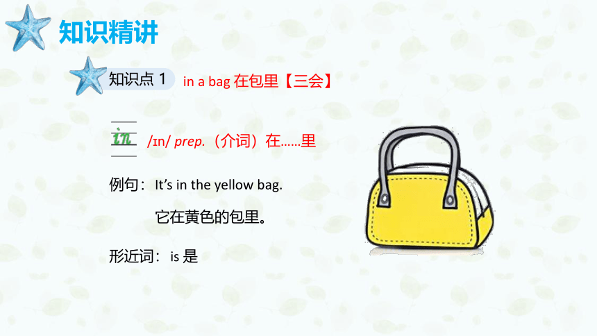 外研版（新）三上 Module 8 Unit 2 Where's the cat【优质课件】