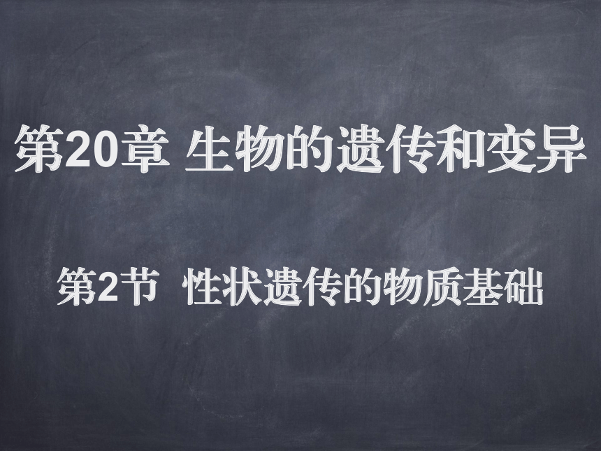 6.20.2性状遗传的物质基础课件(共28张PPT)2022-2023学年北师大版生物八年级上册