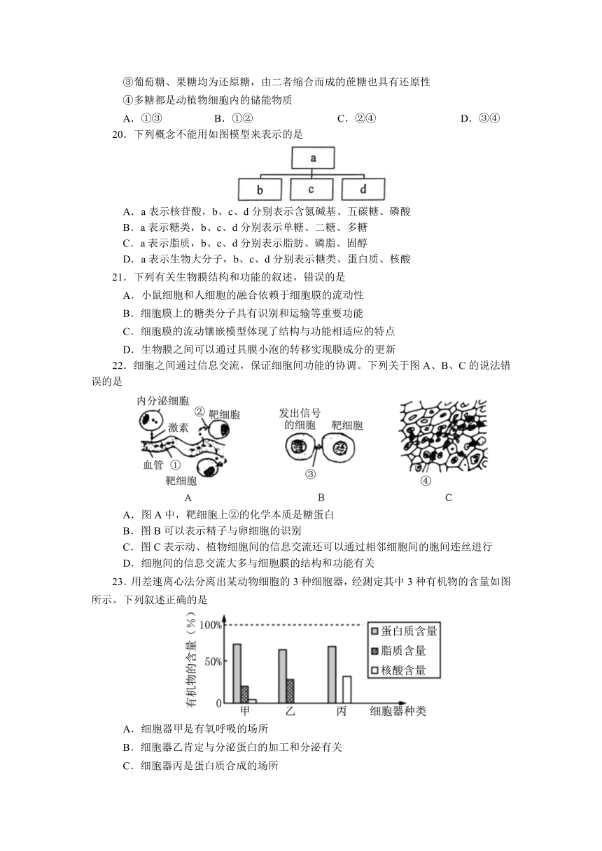 河南省唐河县友兰实验高中2021-2022学年高一上学期期中质量评估生物试卷（Word版含答案）