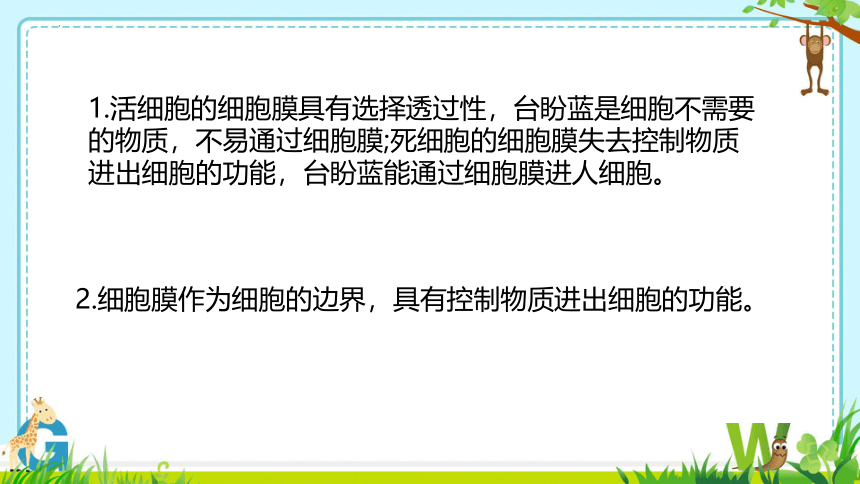 3.1细胞膜的结构和功能 课件(共25张PPT2个视频)-人教版（2019）必修1