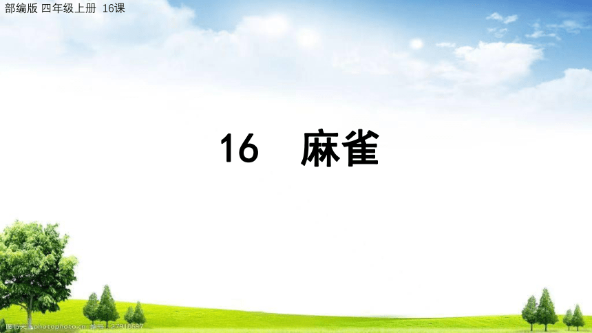 16麻雀（课件）（共23张ppt）