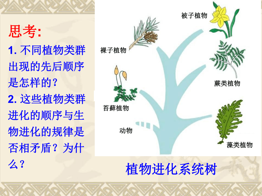 北师大版 八下 第七单元 第22章  第3节 植物的主要类群 课件（28张PPT）