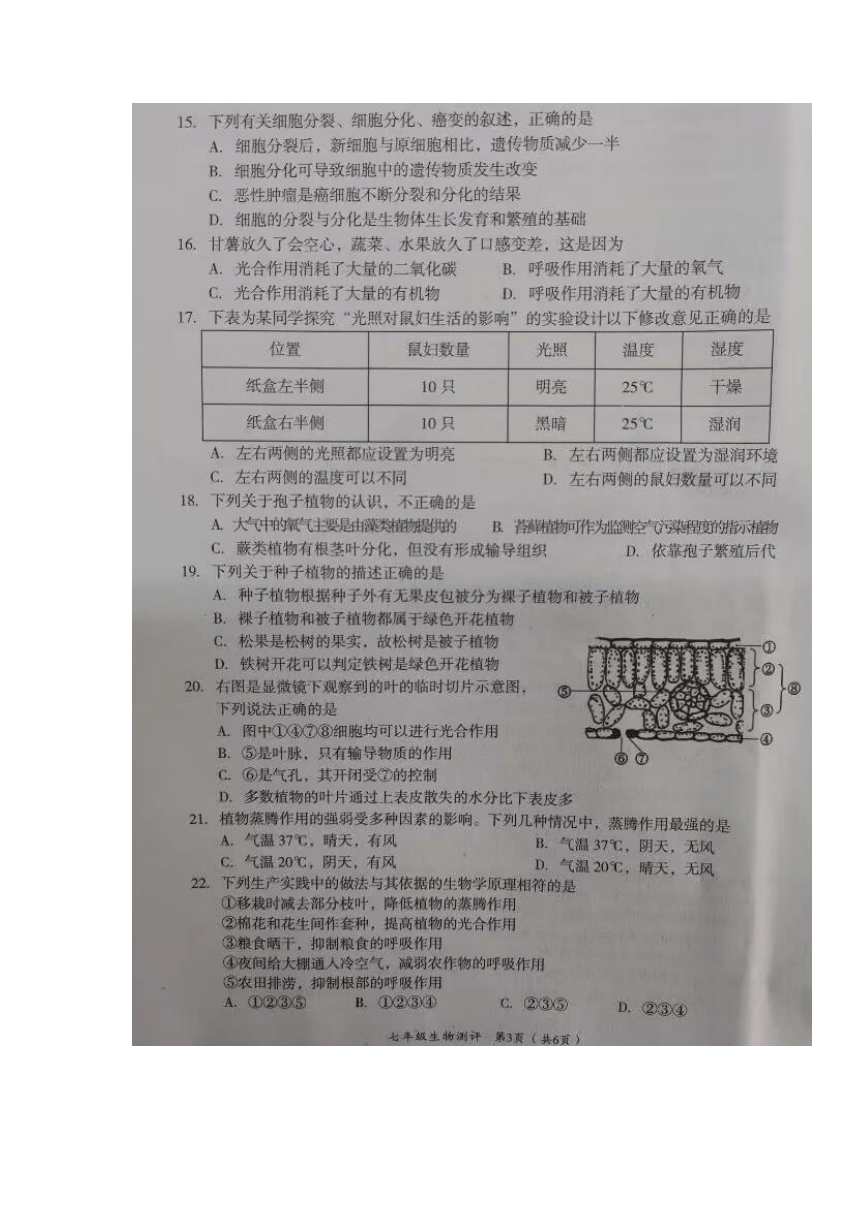 四川省内江市2022-2023学年七年级上学期期末考试生物试题（图片版 无答案）