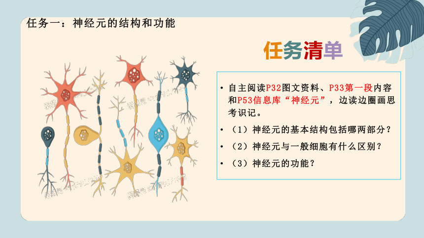 苏科版生物八年级上册 6. 16.1 人体的神经调节（第一课时）2022-2023学年课件(共23张PPT)