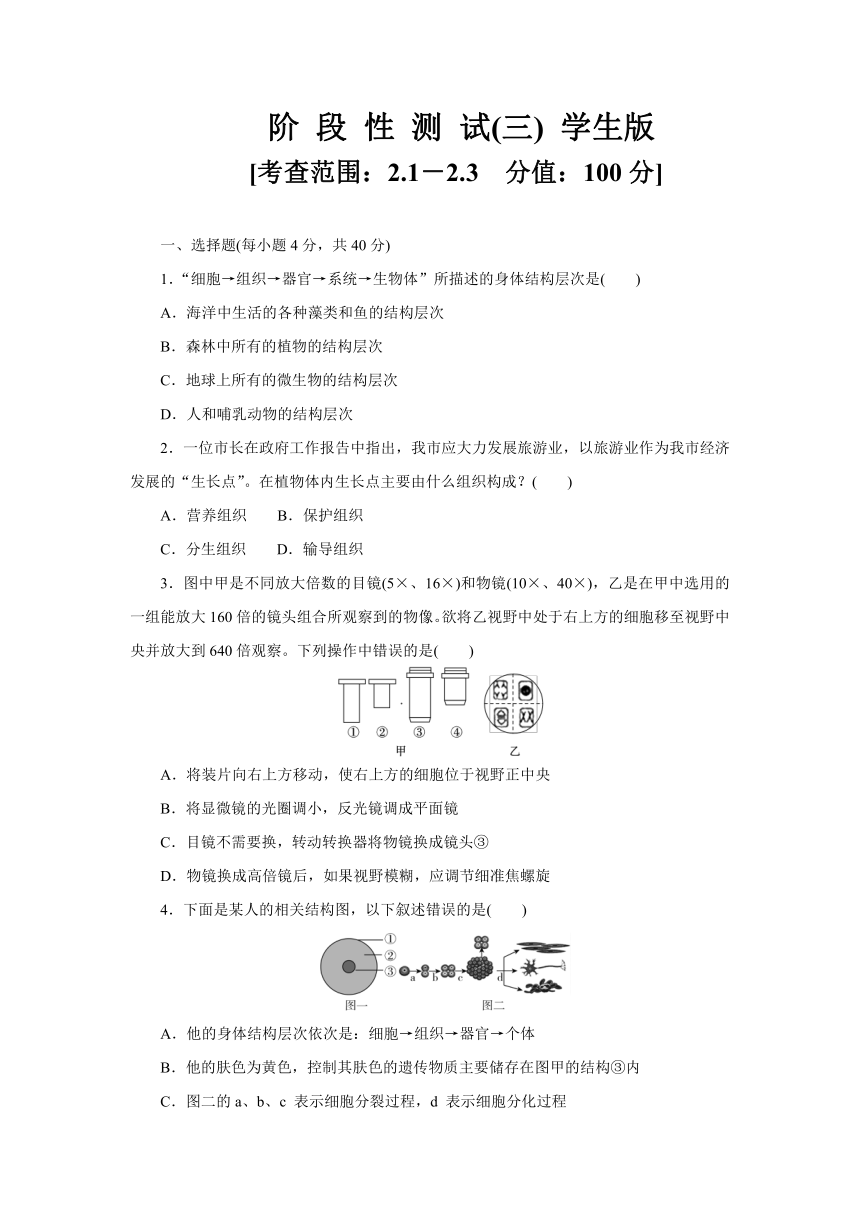 第2章 观察生物 阶段性测试(三)  （2.1－2.3）（含答案）