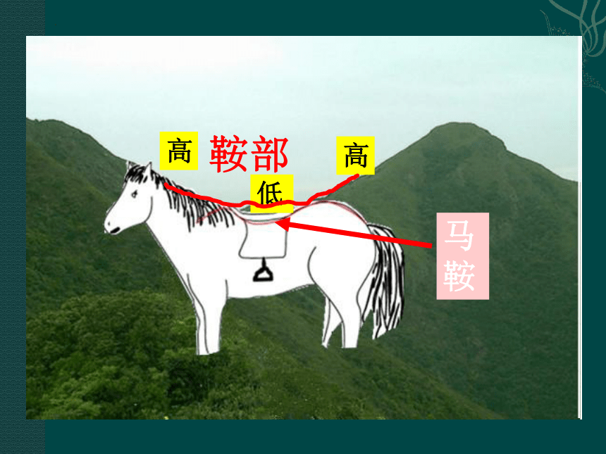 1.4 地形图的判读课件2022-2023学年上册人教版七年级地理(共24张PPT)