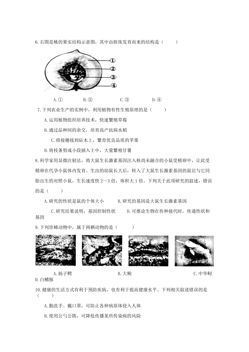 2021年安徽省生物中考真题（word版含解析）