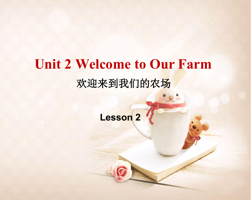Unit 2 Welcome to our farm. Lesson 2 课件 （共17张PPT）