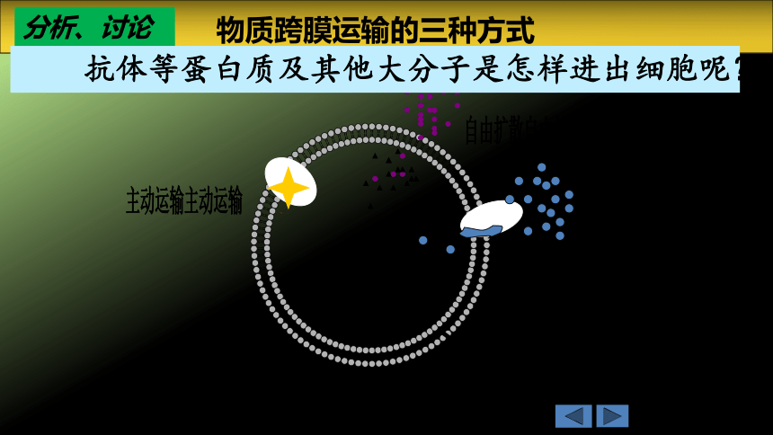 2021——2022学年高一上学期 人教版 必修1  第4章第3节  物质跨膜运输的方式  课件(23张)