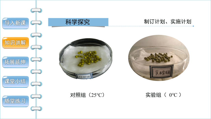 3.2.1 种子的萌发 （第1课时） 课件(共30张PPT)2022--2023学年人教版生物七年级上册