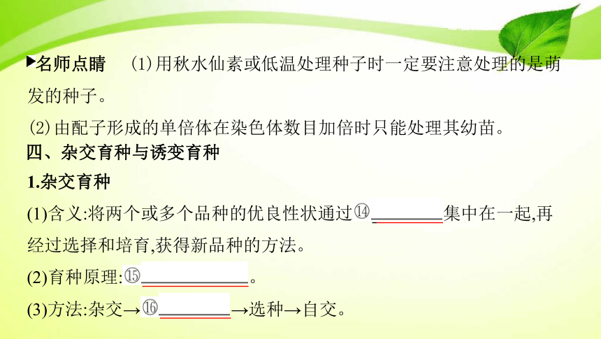 高考生物专题课件19：染色体变异与育种（共68张PPT）