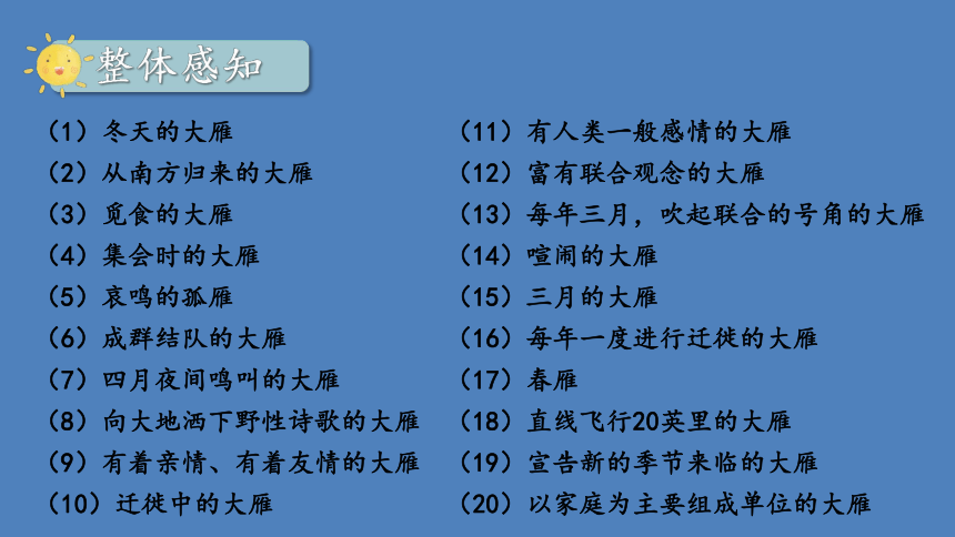 7 大雁归来（课件）（共19张ppt）