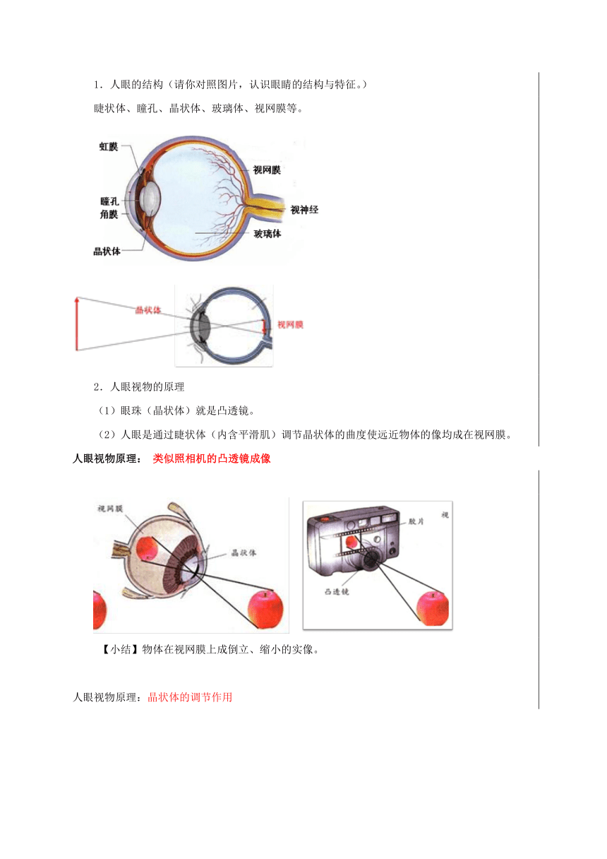 4.6神奇的眼睛（1眼睛与视力矫正）—沪科版八年级物理全一册教案