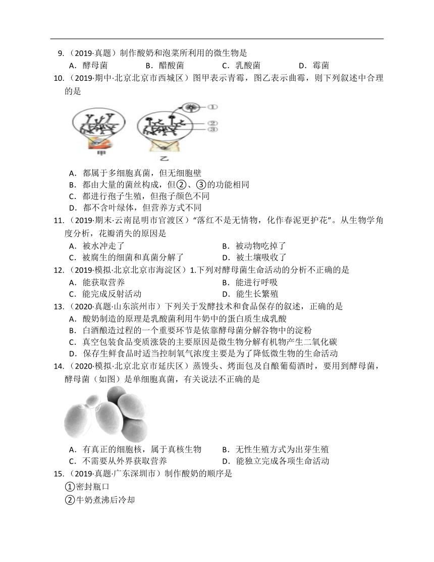 人教版八年级生物上册第五单元第四章细菌和真菌单元练习（Word版含解析）