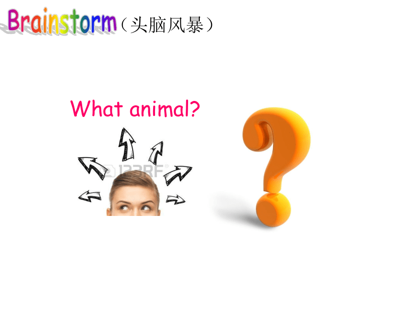 Unit3 Animals 课件(共17张PPT)