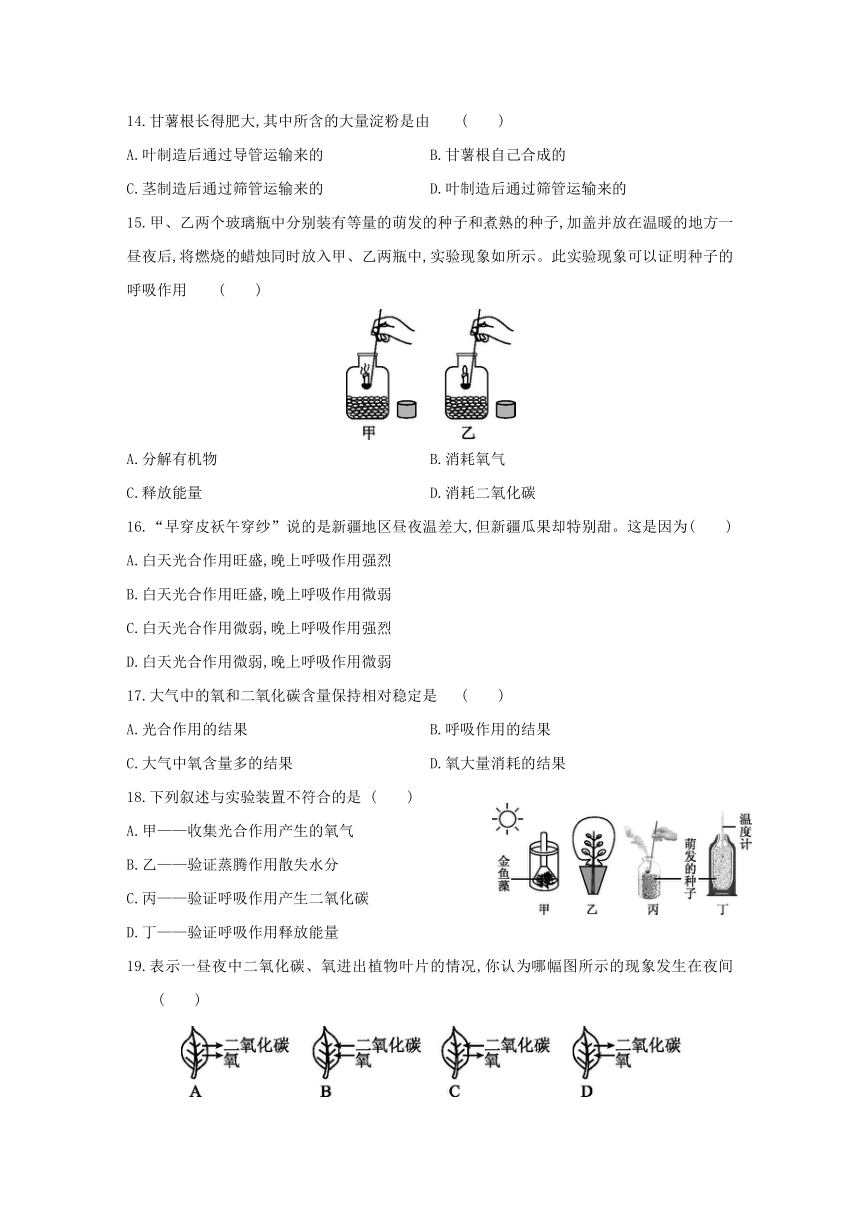 人教版生物学七年级上册同步练习：第三单元　第三~六章  单元综合测试(word版含答案）