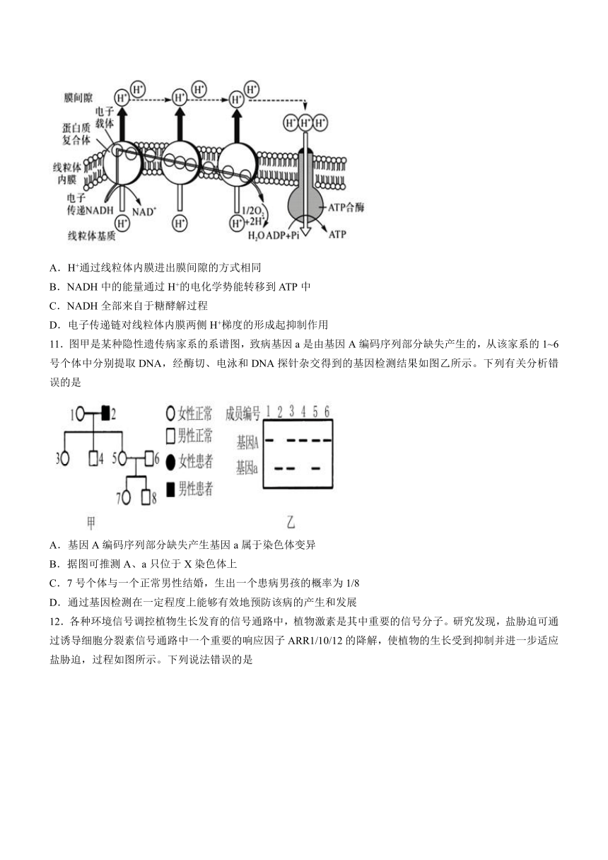 2023届辽宁省丹东市高三下学期3月总复习质量测试（一）生物学试题（含答案）