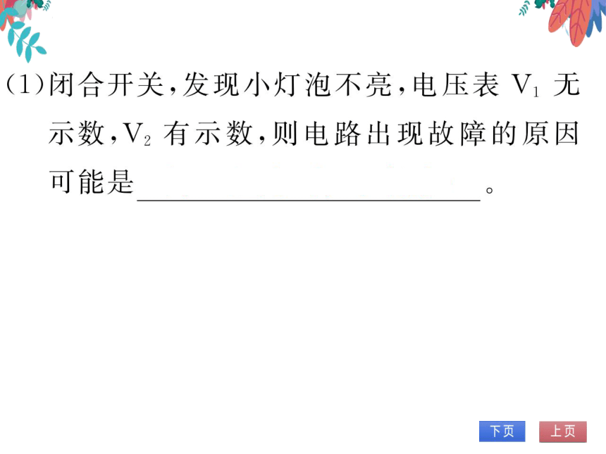 【人教版】物理九年级全册 第17章 专题十 多种方法测量电阻  习题课件