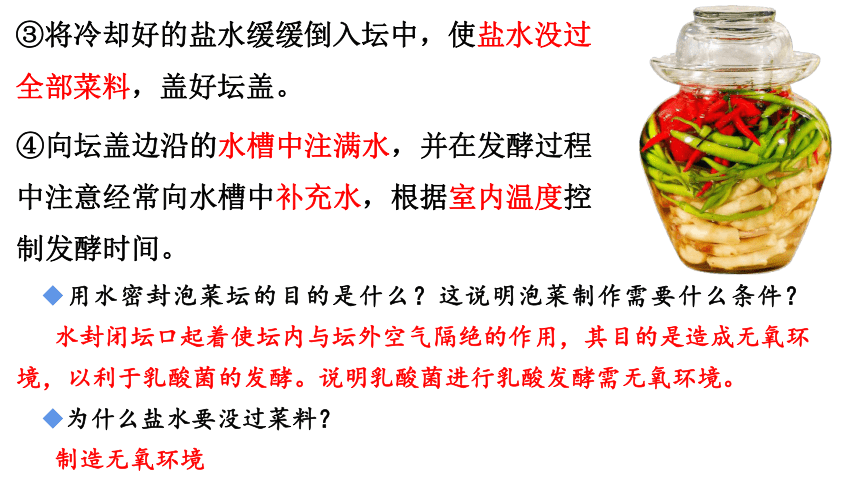 苏教版（2019）选择性必修三   1-3传统发酵食品制作(共36张PPT)
