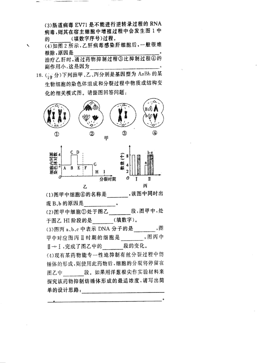 山东省菏泽市部分高中2020-2021学年高一下学期6月月考生物试题 扫描版含答案