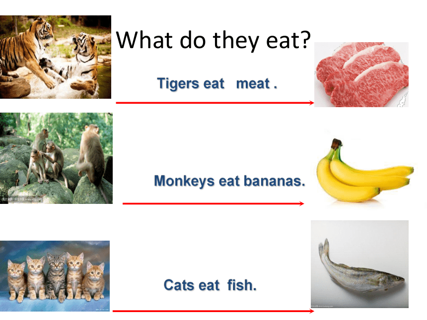 Unit 3  Lesson 13 I’m Hungry 课件（41张ppt）