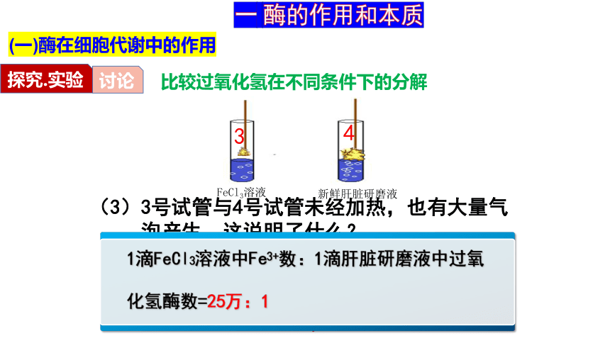 5.1降低化学反应活化能的酶课件(共41张PPT)