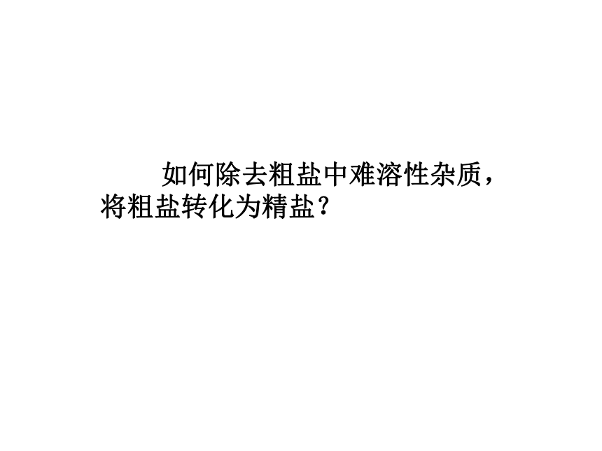 沪教版化学 九年级下册 基础实验6 粗盐的初步提纯 课件 (共18张PPT)