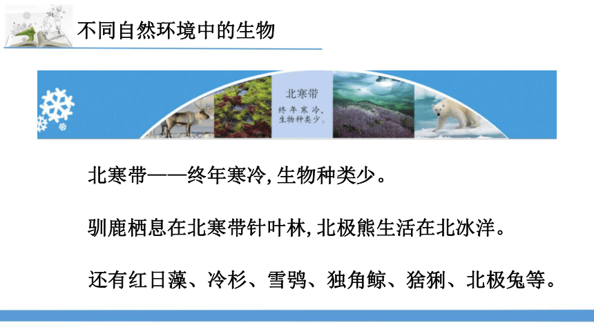 2023最新苏教版六年级下册科学5.多样的栖息地 课件(共40张PPT)