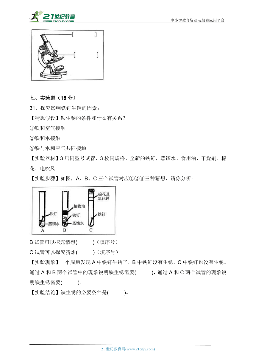 教科版六年级科学下学期期中素养测评卷（含答案）