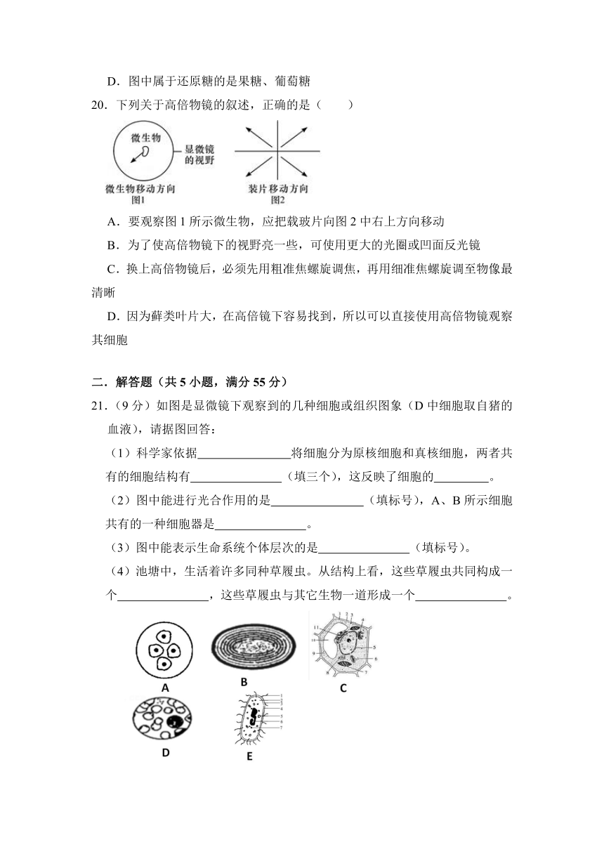 湖北省麻城市实高2021-2022学年高一上学期9月月考生物试题（Word版含答案）