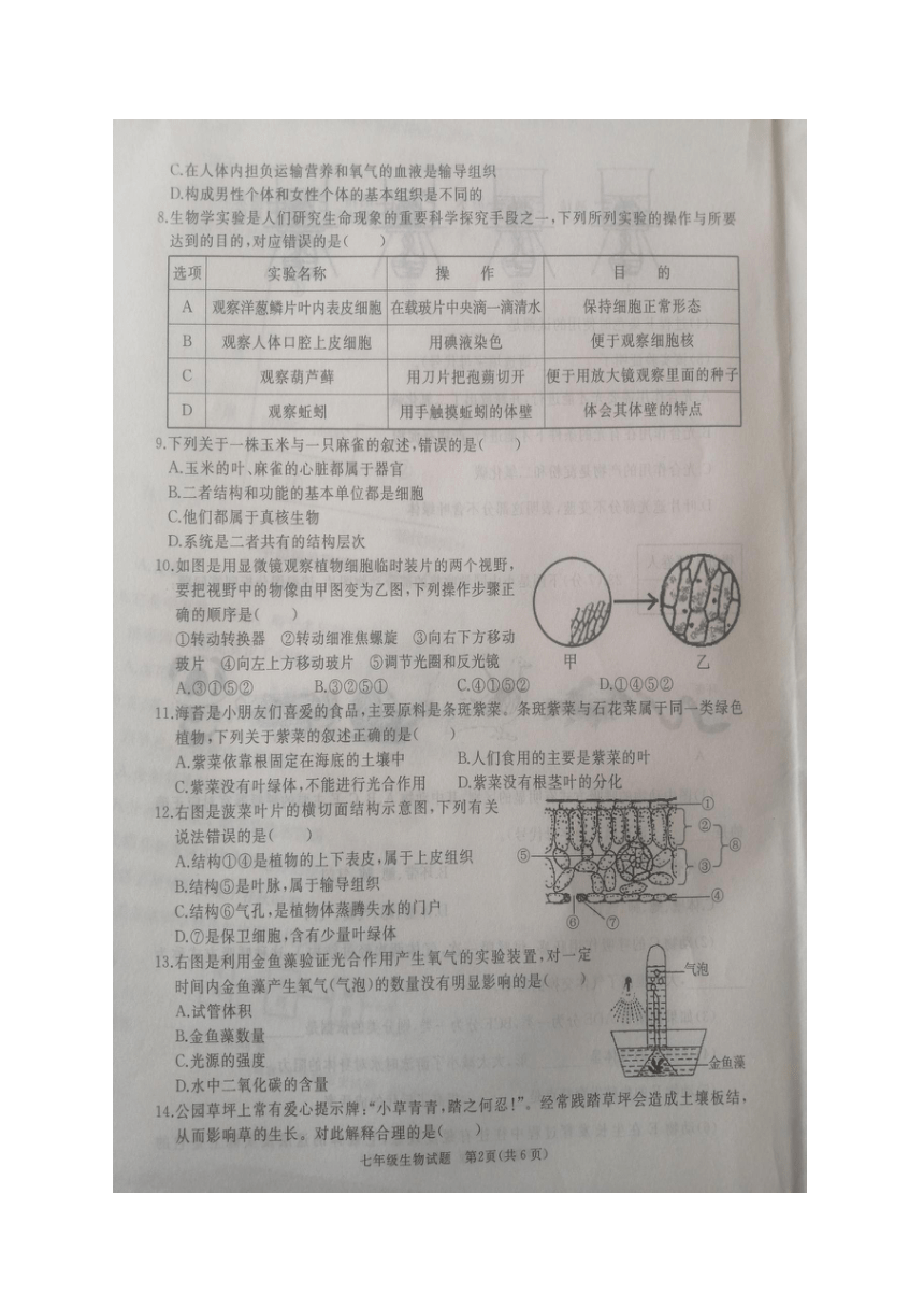 【首发】山东省济宁市鱼台县2021-2022学年度第一学期期末教学质量监测七年级生物试题（图片版含答案）