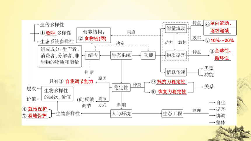 新人教生物二轮复习课件13 生态系统和环境保护(课件共54张PPT)