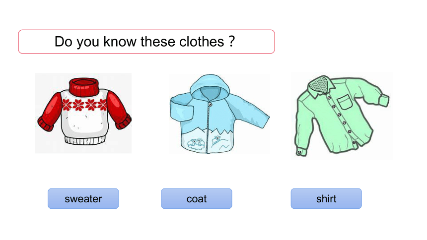 Unit 2 Lesson 1  I have a new sweater. （共33张PPT）
