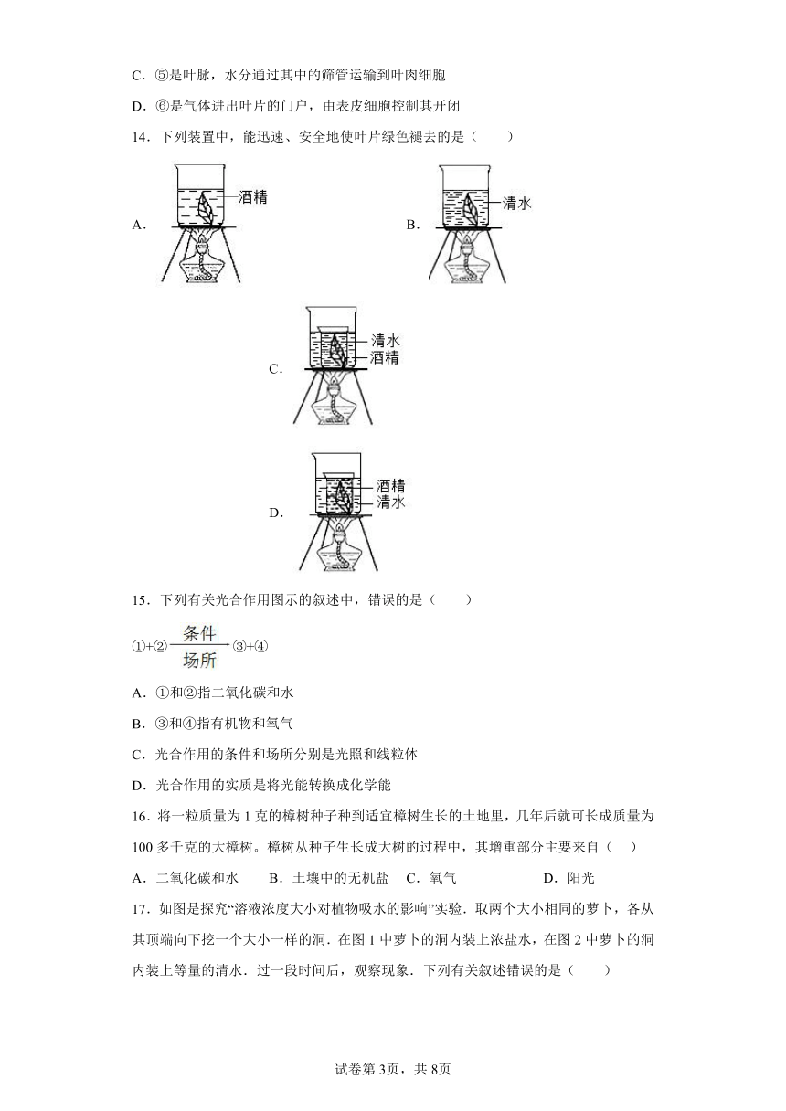 山西省运城市盐湖区2022-2023学年七年级上学期期末生物试题(含答案）